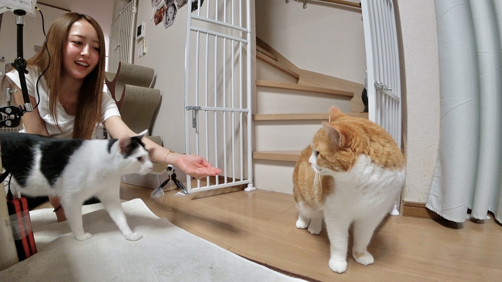 みりちゃむの写真