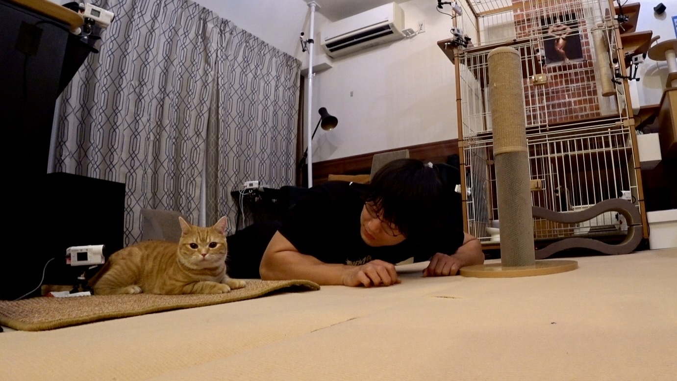 青木マッチョの写真