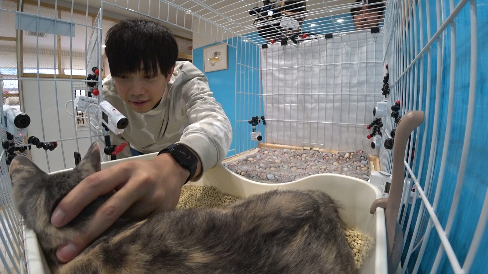 ティモンディ・前田裕太の写真