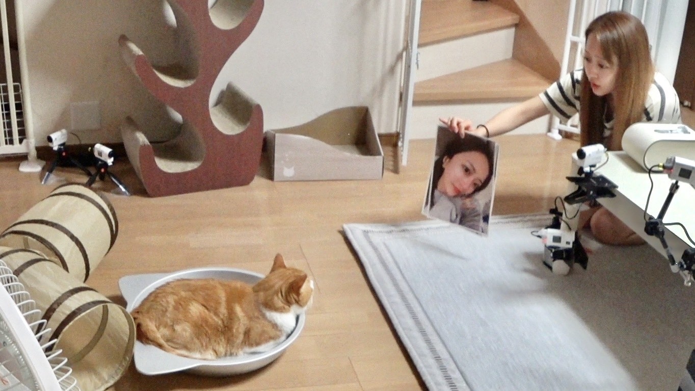 みりちゃむの写真