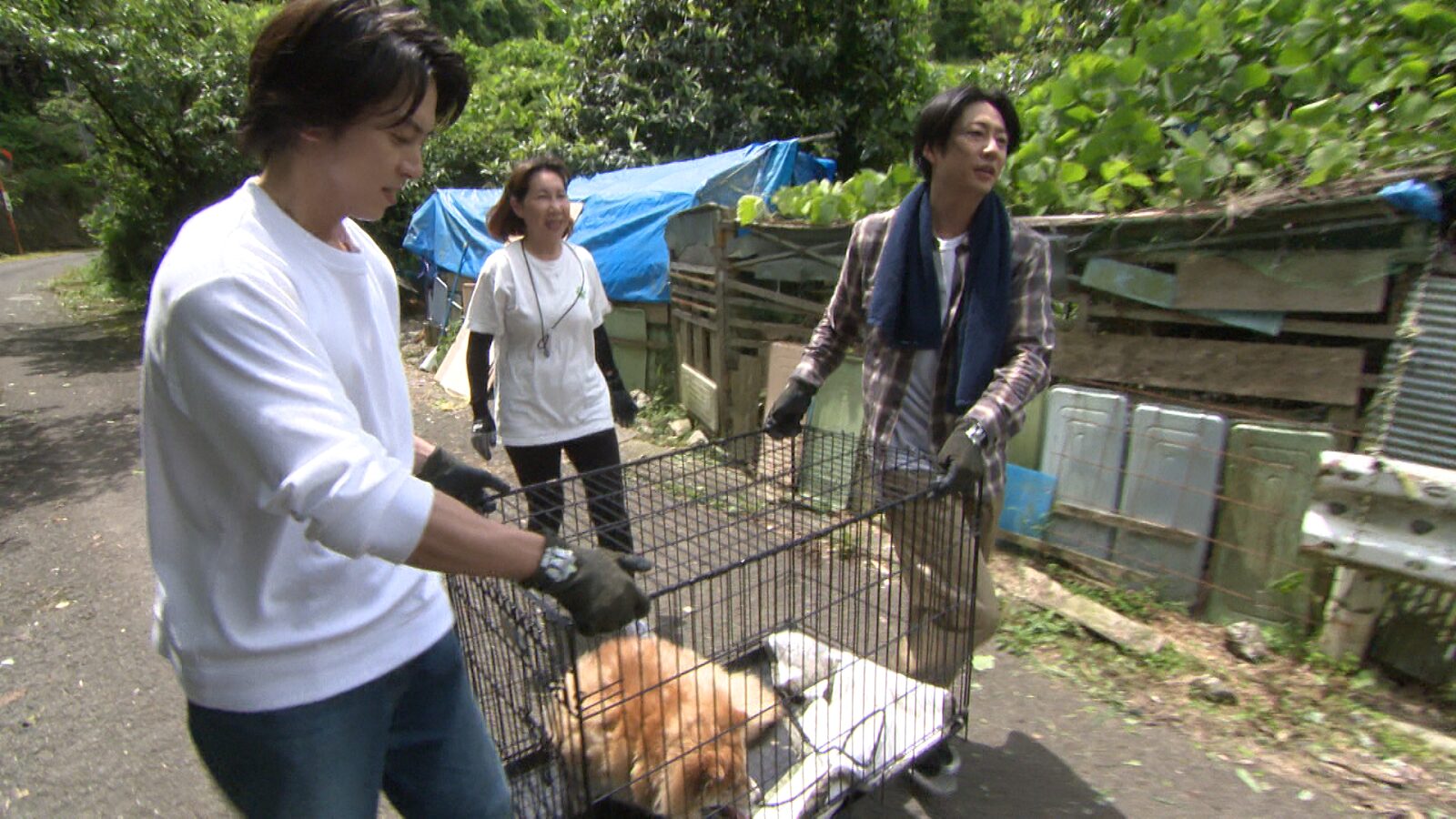 山下智久と相葉雅紀の写真