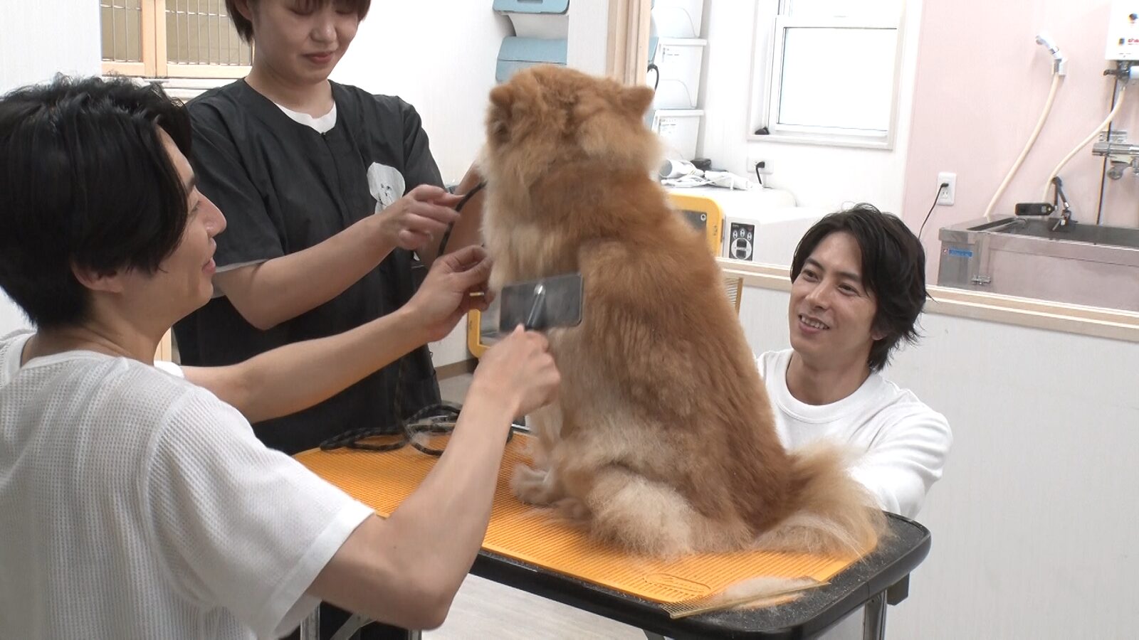 山下智久と相葉雅紀の写真